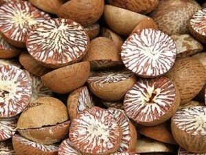 Betel Nuts