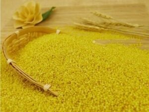 Yellow Millet