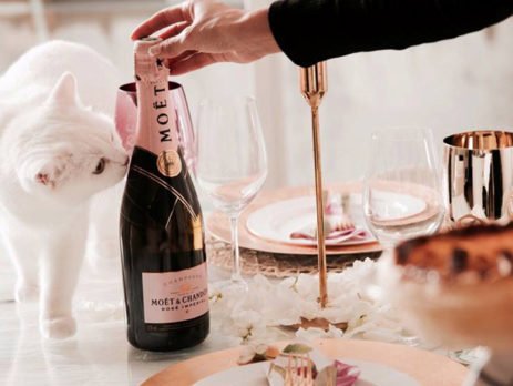 Moet & Chandon