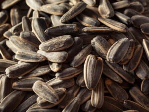 Sunflower Kernels