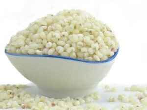 White Sorghum