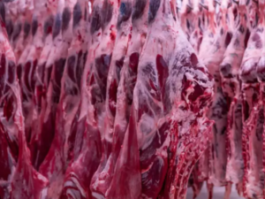 HALAL FROZEN BEEF/ COW MEAT