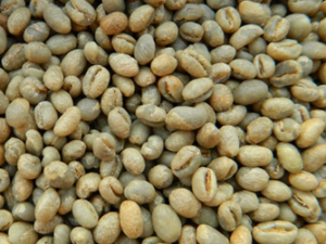 CULI COFFEE