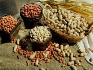 Peanuts