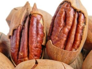 Pecan Nuts